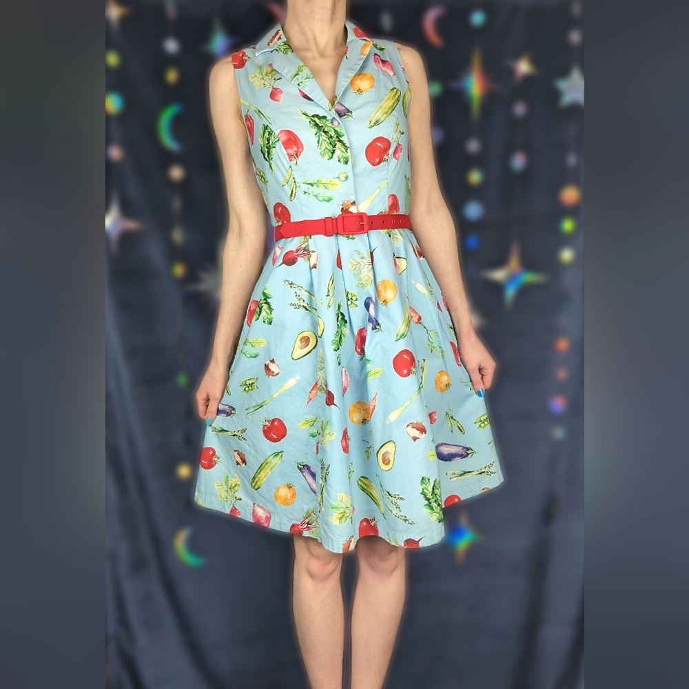 Modcloth Veggie Print Blue Cotton Sleeveless Knee-Length Shirtdress